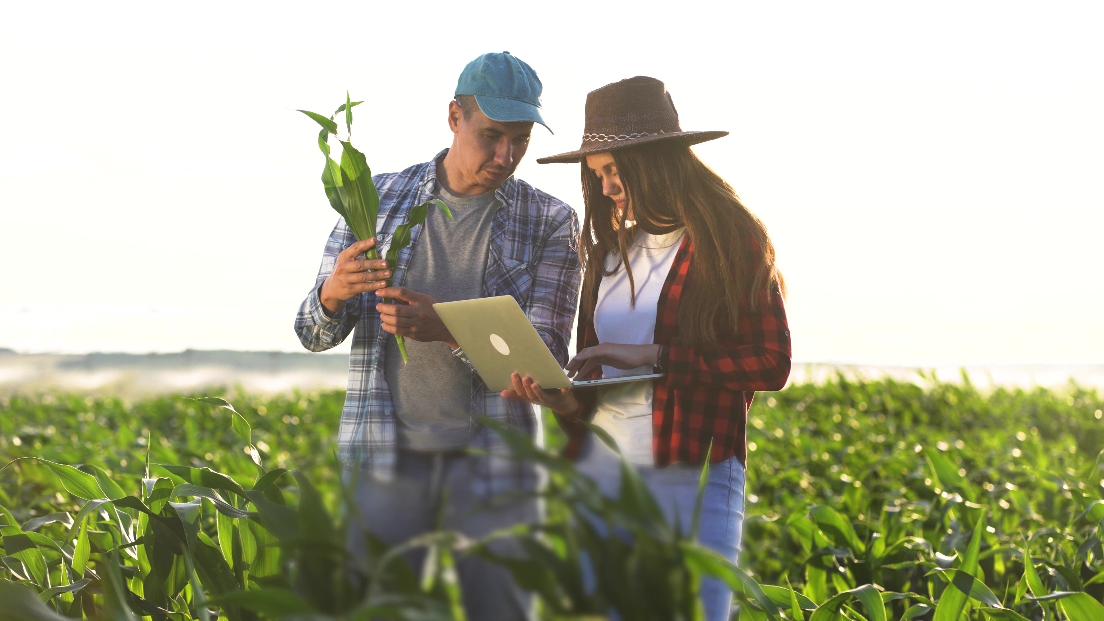 curiosidades-sobre-agronomia-2